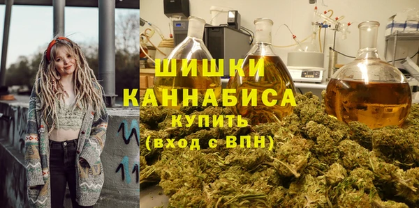 эйфоретик Богданович