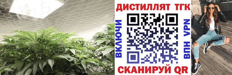ОМГ ОМГ ТОР  Дмитров  Дистиллят ТГК гашишное масло 