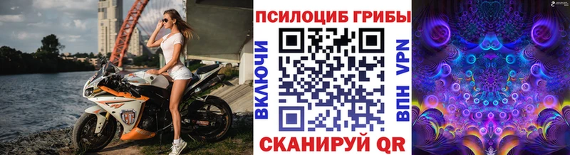 как найти   Дмитров  Галлюциногенные грибы мицелий 